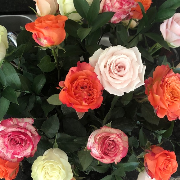 Meet your Posher, Simone - Picture 1 of 1